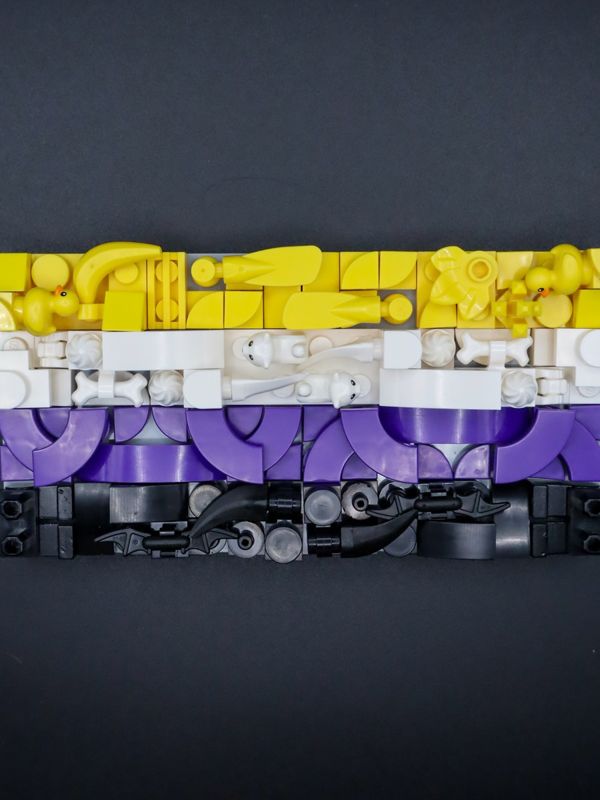 Non-Binary Flag